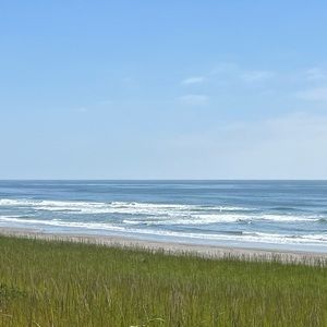 Meet your Posher, Candace